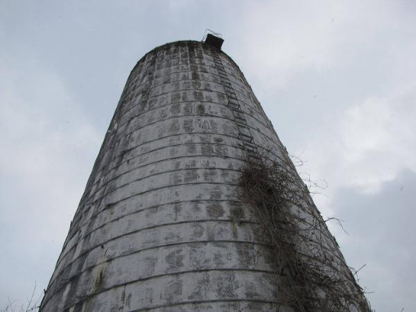 Silo 81: NY Route 8N, Bridgewater, NY