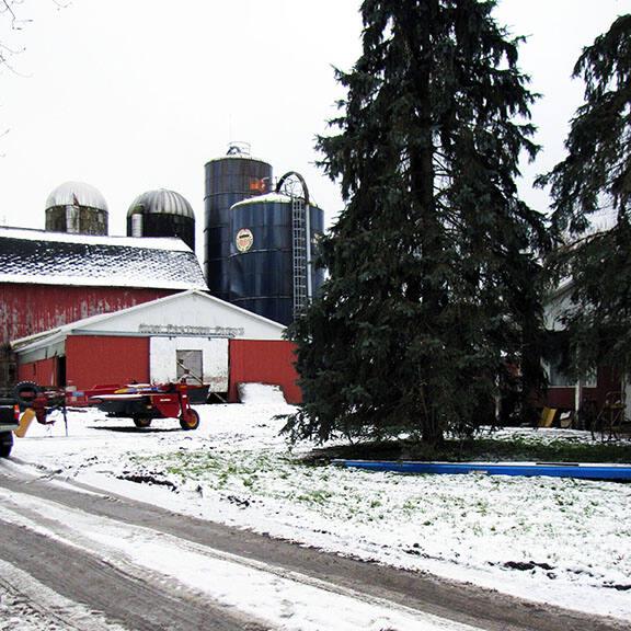 Silos 86-89: Gulf Road, Bridgewater, NY