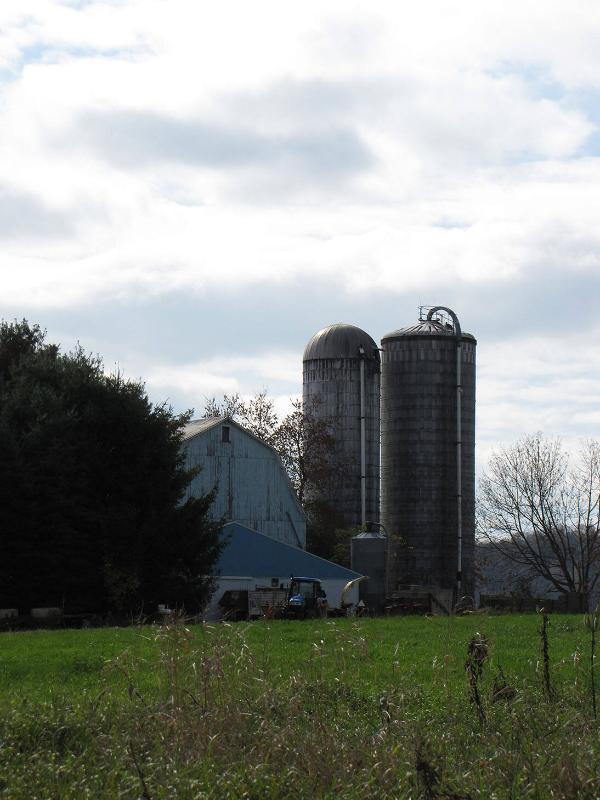 Silos 90-91: County Highway 18, Plainfield, NY