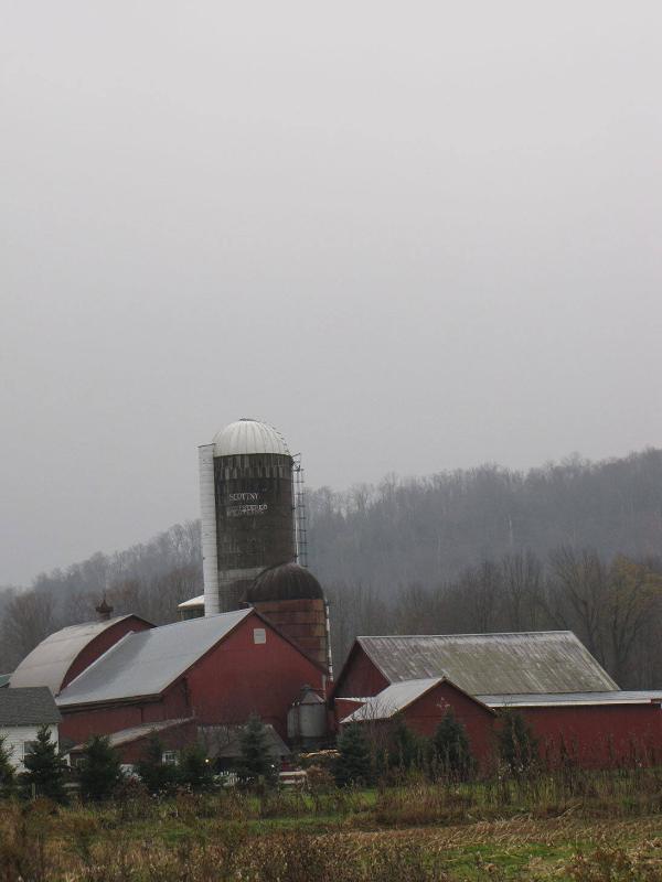 Silos 92-94: Route 8, Brookfield, NY