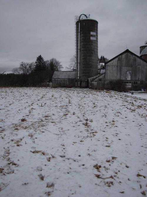 Silos 95-98: County Highway 18, Plainfield, NY