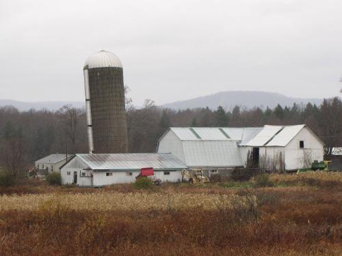 Silo 99: Lovers Lane, Plainfield, NY