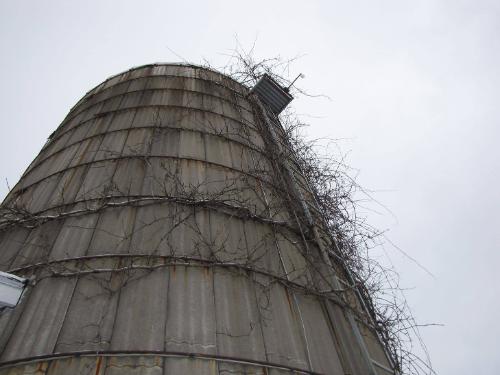 Silos 110 & 111: County Highway 18, Plainfield, , NY