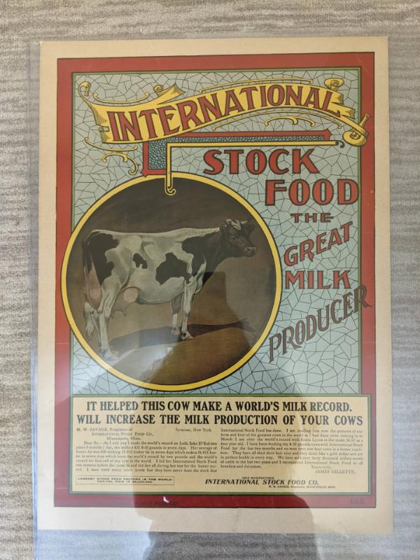 International Stock Food Poster