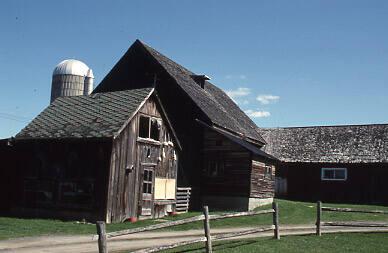 Chicken Barn & Granary