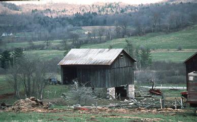 Sheep Barn