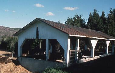 Manure Pit