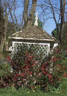 Garden Gazebo House