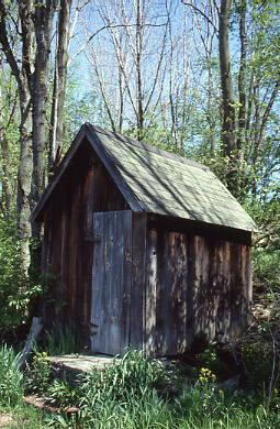 Shed