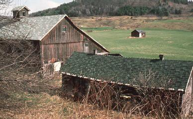 Barn and Outbuilding