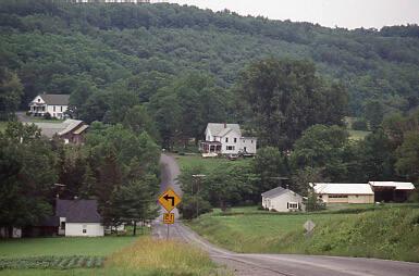 Farm Panorama