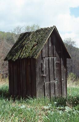 Shed with Mossy Roof