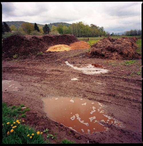 Compost Puddles