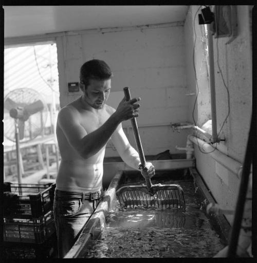 Fred Washing Greens