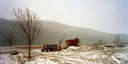 Snowy Day