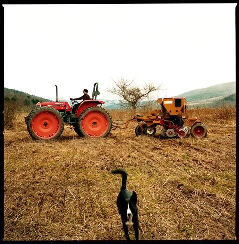 Fall Tractor