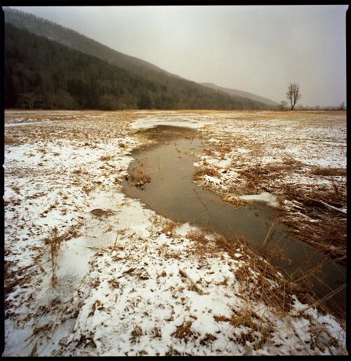 Spring Field Thaw