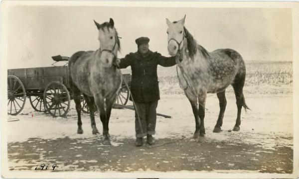 Bob Herbert Farm Horses