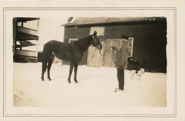 Man with Horse and Dog