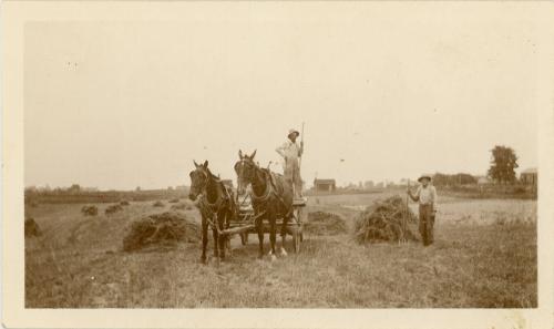 Loading Hay