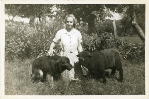 Women with Dog and Sheep