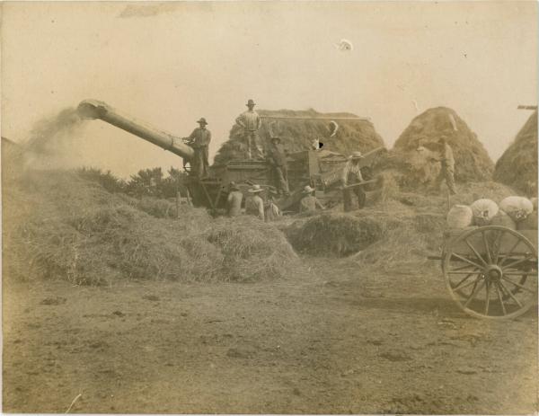 Threshing