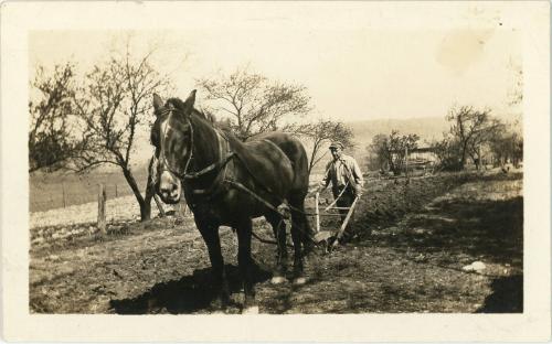 Horse Drawn Plow