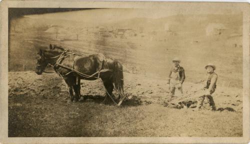 Two Men and a Horse Drawn Plow