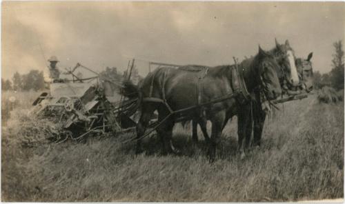 Horse Drawn Mower