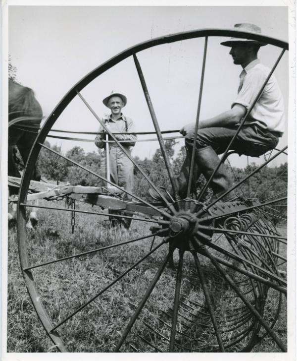 Two Men and a Horse Drawn Rake