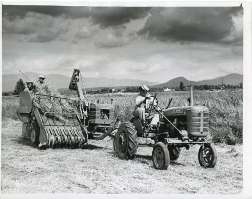 Farmall Tractor and Bailer