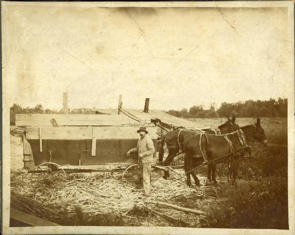 Horse Drawn Wagon