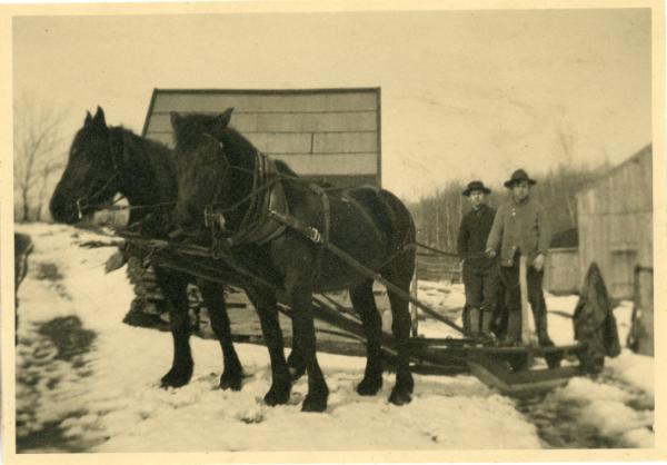 Horse Drawn Sled