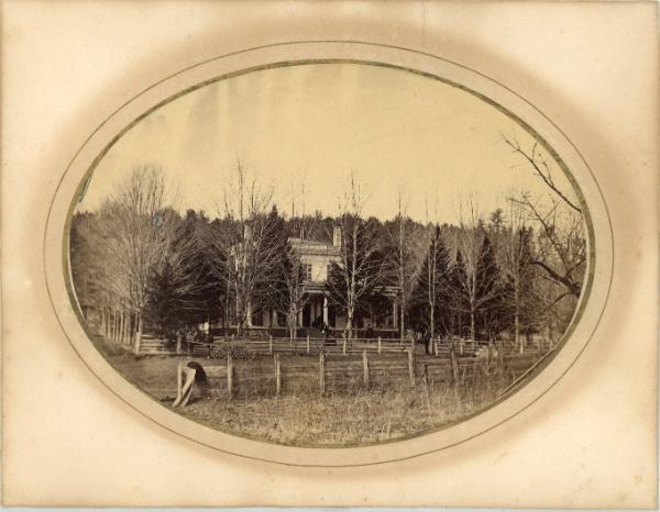 House in the Trees