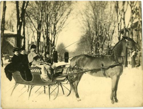 Horse Drawn Sleigh