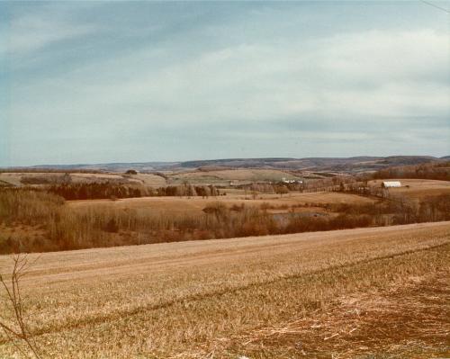 Farmland Panorama