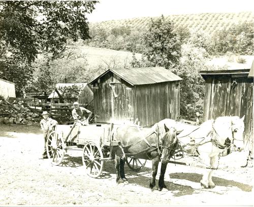 Horse Drawn Wagon