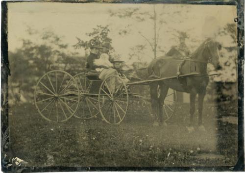 In A Horse Drawn Buggy