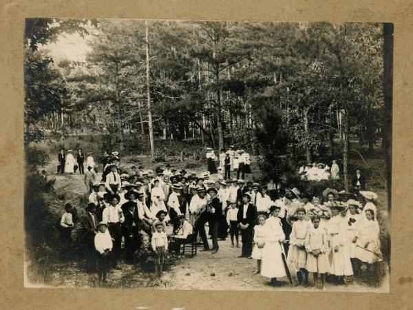 Gathering in the Wood