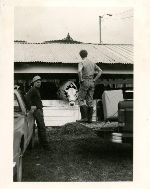 Agricultural Fair