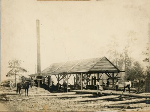 Saw Mill