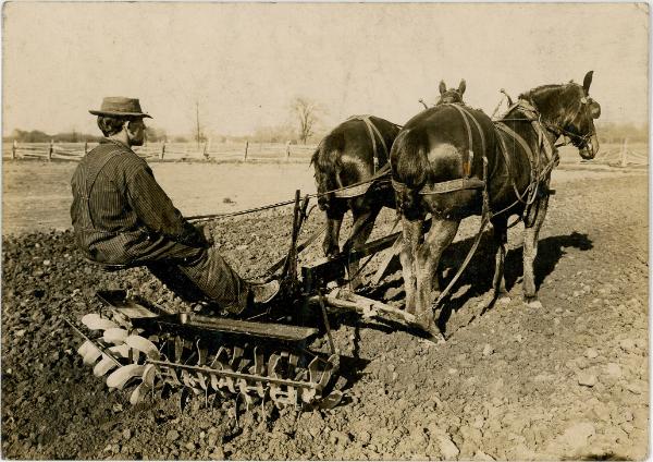 Disc Plow