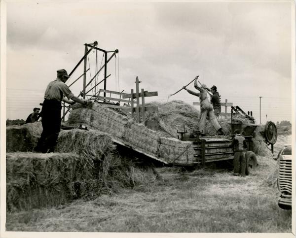 Bailing Hay