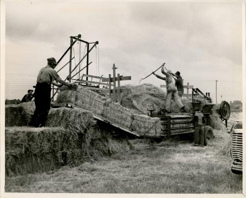 Bailing Hay