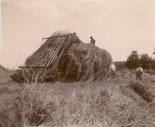 Haying on Wagon