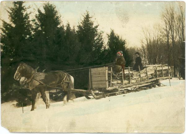 Horse Team & Sled