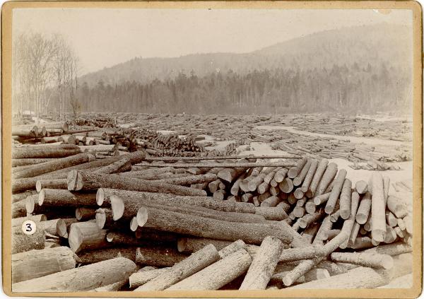 Logs on West Canada Creek