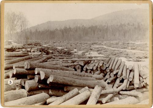 Logs on West Canada Creek