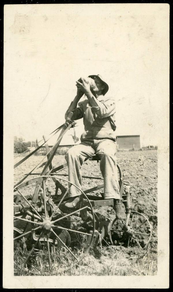 Man on Horse Drawn Plow