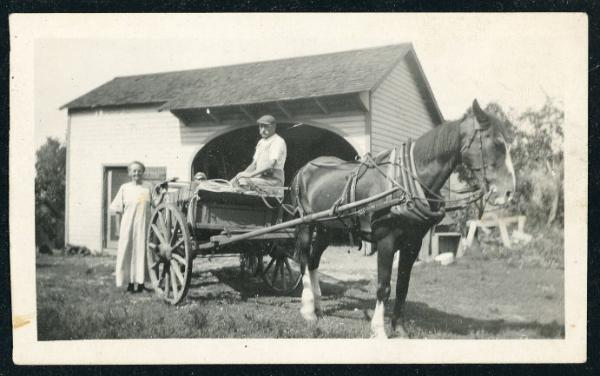 Horse and Wagon